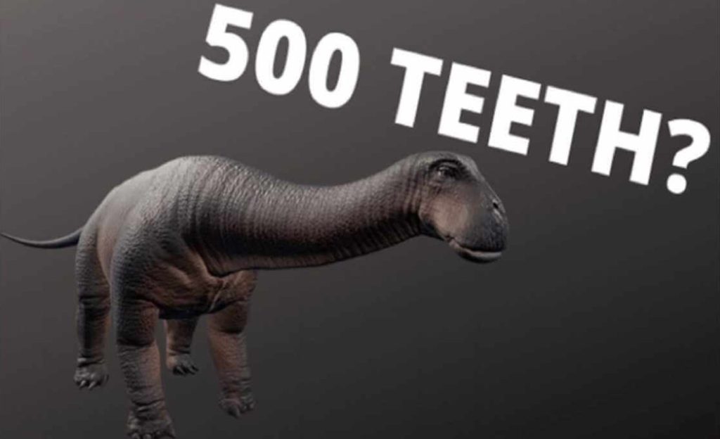 Welcher Dinosaurier hat 500 Zähne Nigersaurus Meme erklärt Netflix News