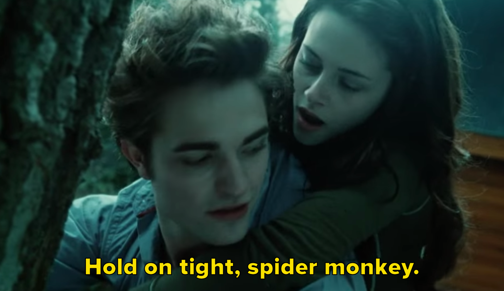 Twilight in english. Сумерки 1 конец. Twilight Scene. Брэдли Фуллер Сумерки. Spidermonkey Twilight.