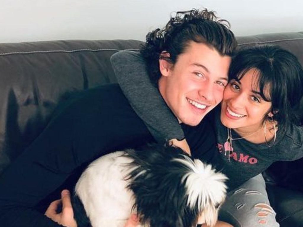 Camila Cabello DÉVASTÉE après la rupture de la rumeur avec Shawn Mendes
