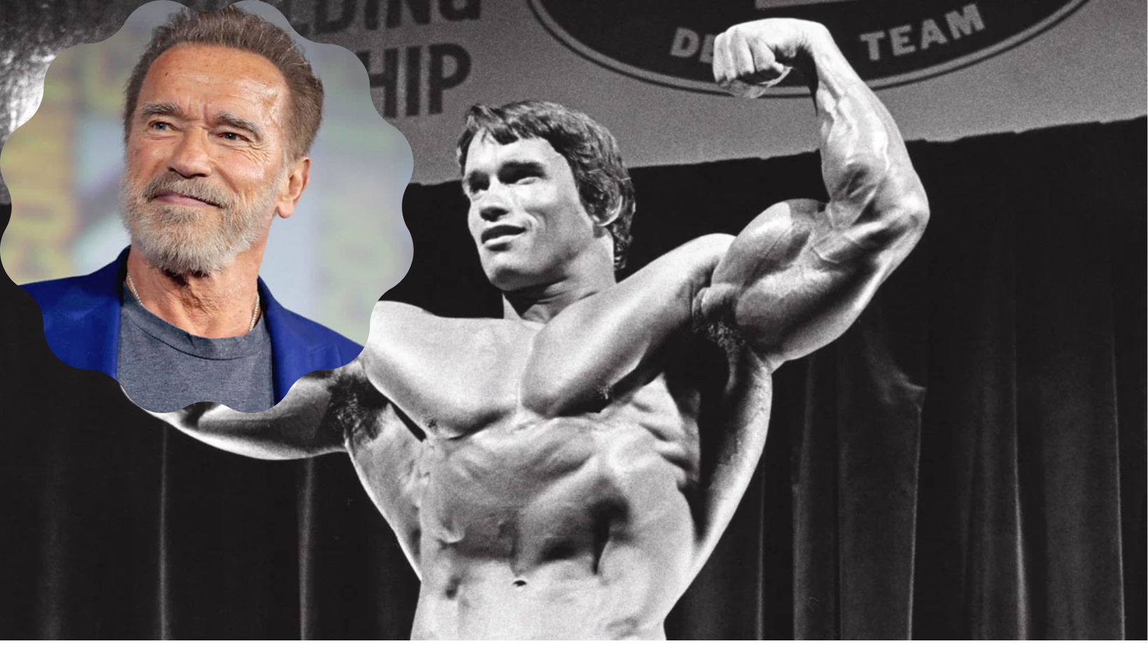 Démystifié Arnold Schwarzenegger estil mort en décembre 2022 ? Netflix News